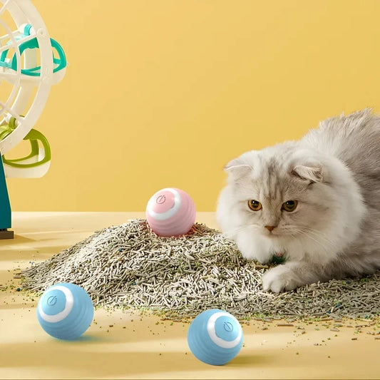 Cat Interactive Ball
